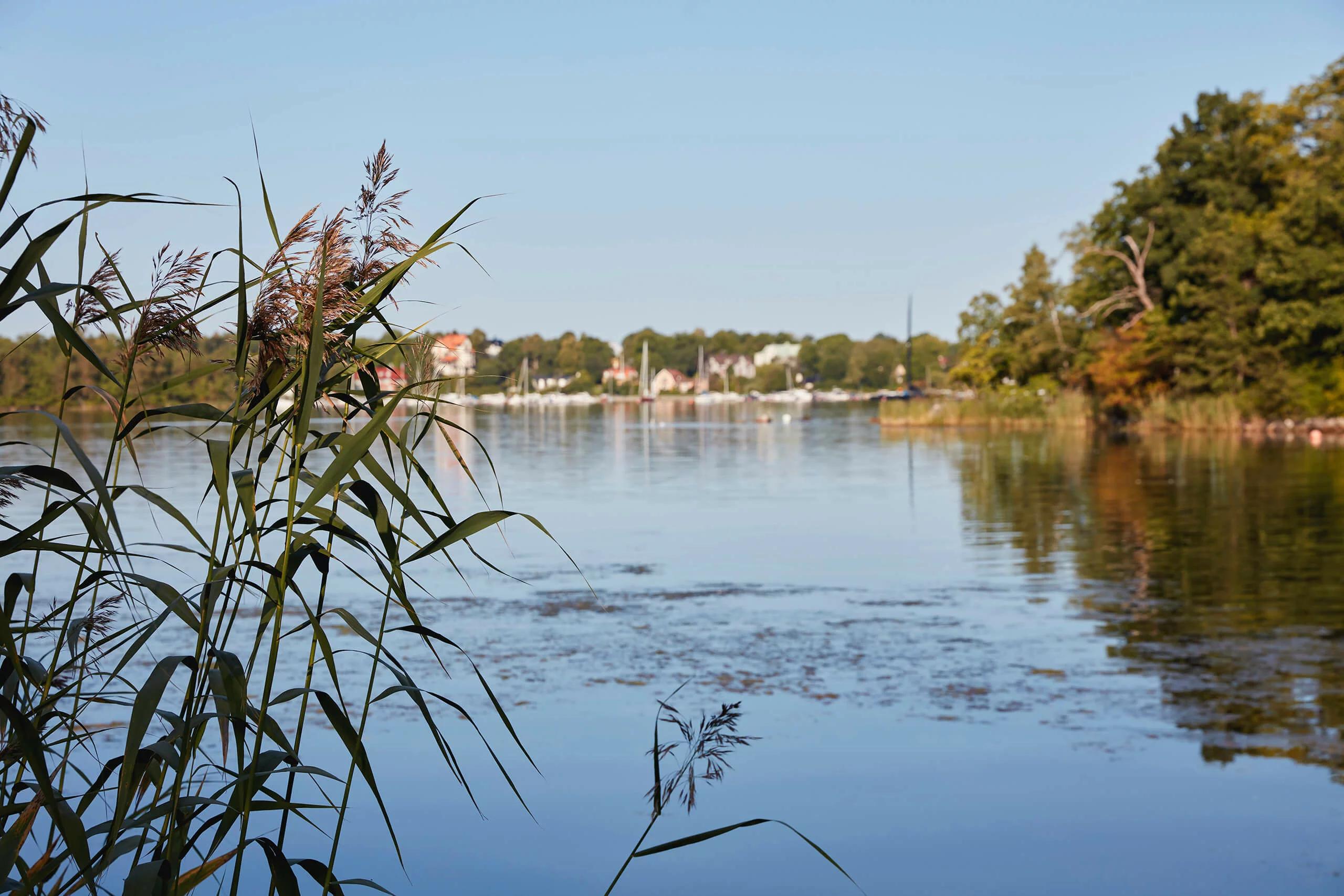 trivselhus villa lidingö natur